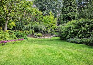 Optimiser l'expérience du jardin à Montmartin-le-Haut
